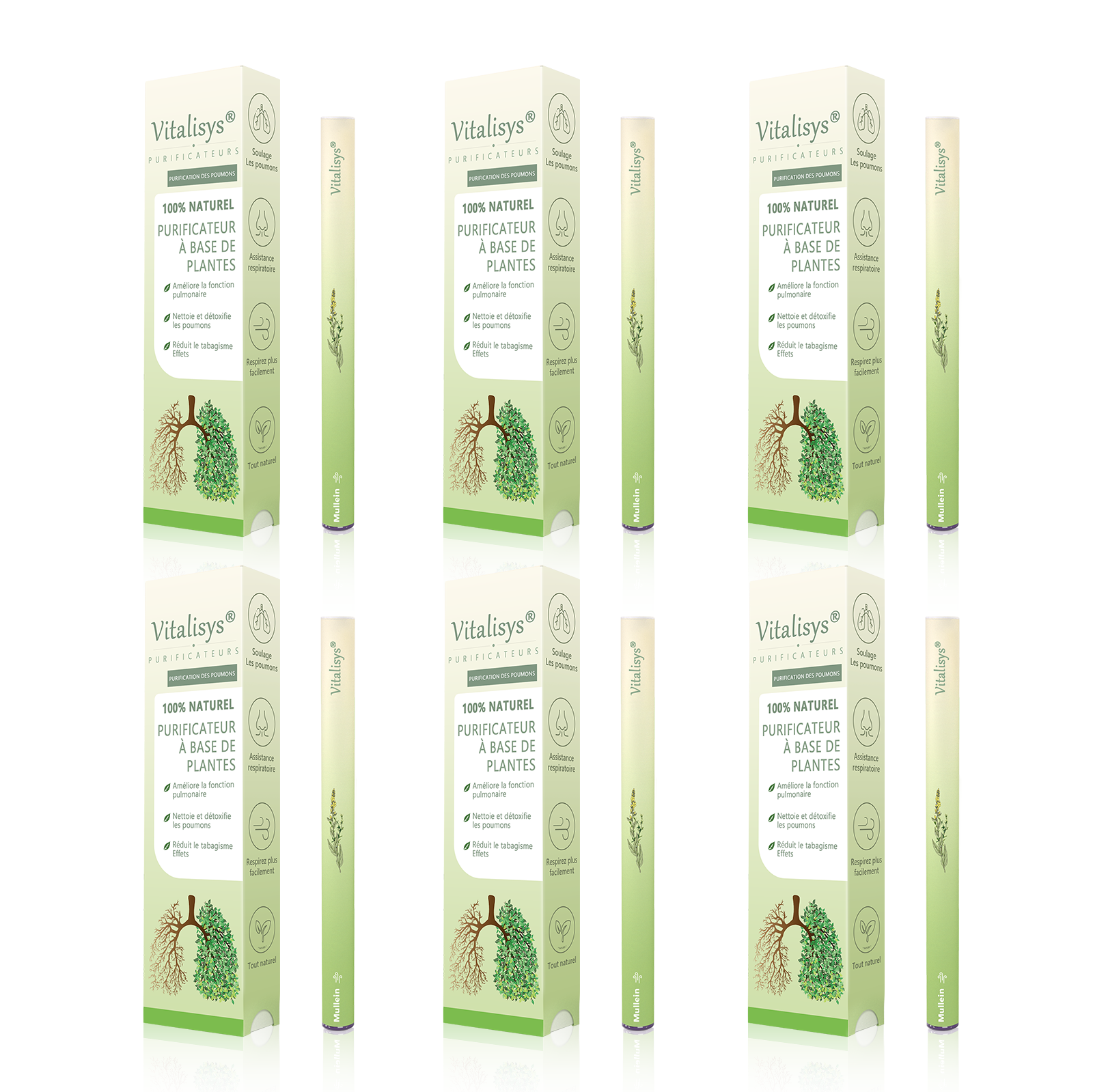 Achetez 3 recevez 3 gratuits – 6 pièces (✨Guérison complète✨)