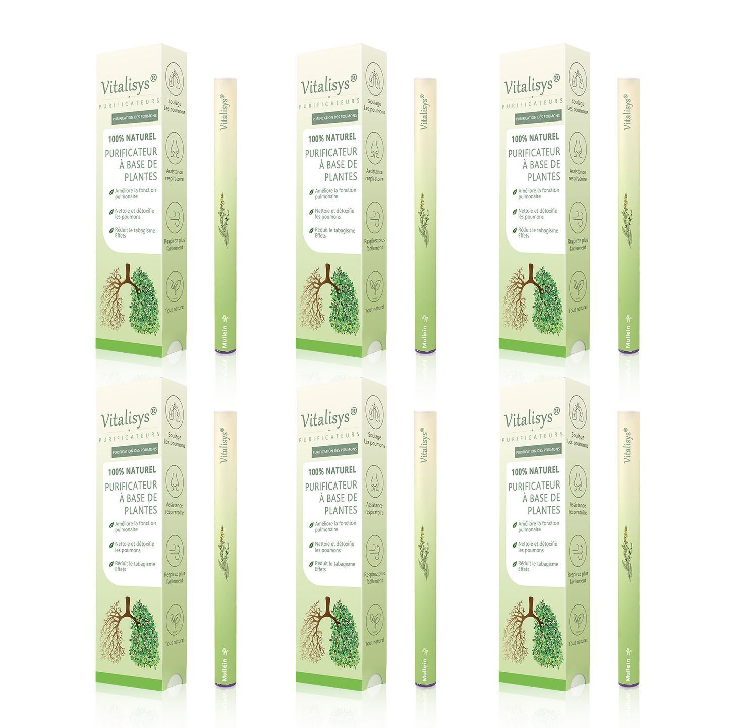 Détenu et exploité par la Belgique ✅ 𝑴𝒖𝒓𝑤𝑜𝒏® 𝑫𝒊𝒇𝒇𝒖𝒔𝒆𝒖𝒓 𝒅𝒆 𝑵𝒆𝒕𝒕𝒐𝒚𝒂𝒈𝒆 𝑷𝒖𝒍𝒎𝒐𝒏𝒂𝒊𝒓𝒆 à 𝒍𝒂 𝑴𝒐𝒍è𝒏𝒆 𝑩𝒐𝒕𝒂𝒏𝒊𝒒𝒖𝒆 (🫁 Toux, Pharyngite, essoufflement, expectorations, nez bouché, bronchite, symptômes allergiques, gêne pulmonaire)3✨