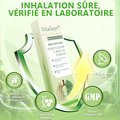 Détenu et exploité par la Belgique ✅ 𝑴𝒖𝒓𝑤𝑜𝒏® 𝑫𝒊𝒇𝒇𝒖𝒔𝒆𝒖𝒓 𝒅𝒆 𝑵𝒆𝒕𝒕𝒐𝒚𝒂𝒈𝒆 𝑷𝒖𝒍𝒎𝒐𝒏𝒂𝒊𝒓𝒆 à 𝒍𝒂 𝑴𝒐𝒍è𝒏𝒆 𝑩𝒐𝒕𝒂𝒏𝒊𝒒𝒖𝒆 (🫁 Toux, Pharyngite, essoufflement, expectorations, nez bouché, bronchite, symptômes allergiques, gêne pulmonaire)3✨